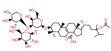 Eryloside V1